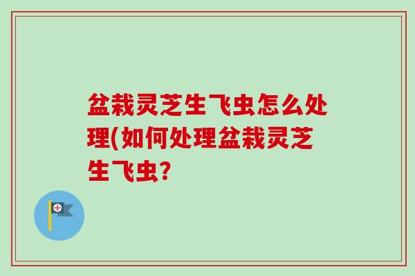 盆栽灵芝生飞虫怎么处理(如何处理盆栽灵芝生飞虫?-第1张图片-卓越灵芝孢子粉 盆栽灵芝生飞虫怎么处理(如何处理盆栽灵芝生飞虫?-第1张图片-卓越灵芝孢子粉