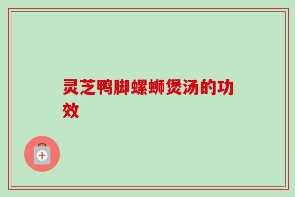 灵芝鸭脚螺蛳煲汤的功效-第1张图片-卓越灵芝孢子粉