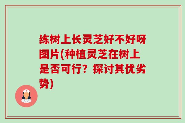 练树上长灵芝好不好呀图片(种植灵芝在树上是否可行？探讨其优劣势)-第1张图片-卓越灵芝孢子粉