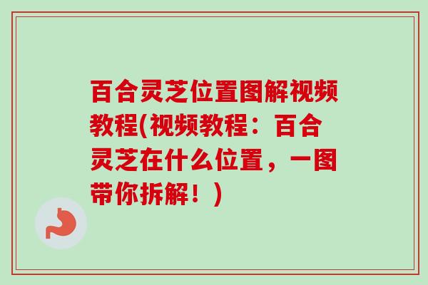 百合灵芝位置图解视频教程(视频教程：百合灵芝在什么位置，一图带你拆解！)-第1张图片-卓越灵芝孢子粉