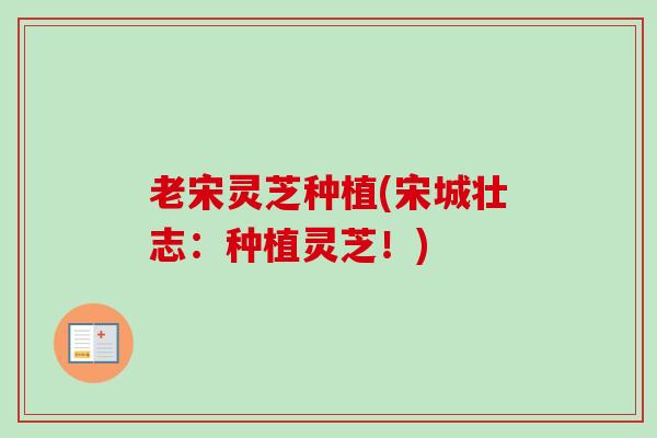 老宋灵芝种植(宋城壮志:种植灵芝!)-第1张图片-卓越灵芝孢子粉 老宋灵芝种植(宋城壮志:种植灵芝!)-第1张图片-卓越灵芝孢子粉