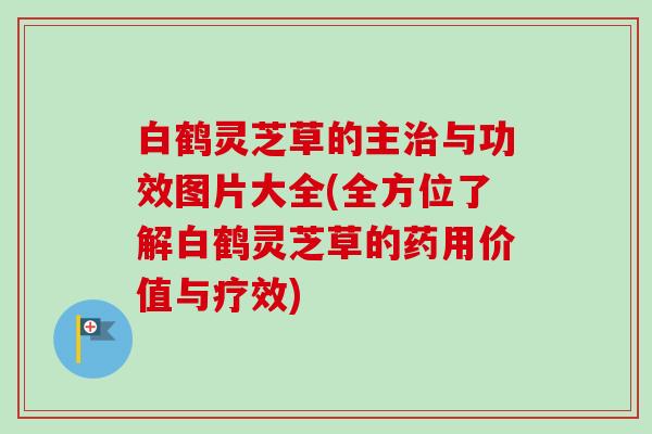 白鹤灵芝草的主治与功效图片大全(全方位了解白鹤灵芝草的药用价值与疗效)-第1张图片-卓越灵芝孢子粉