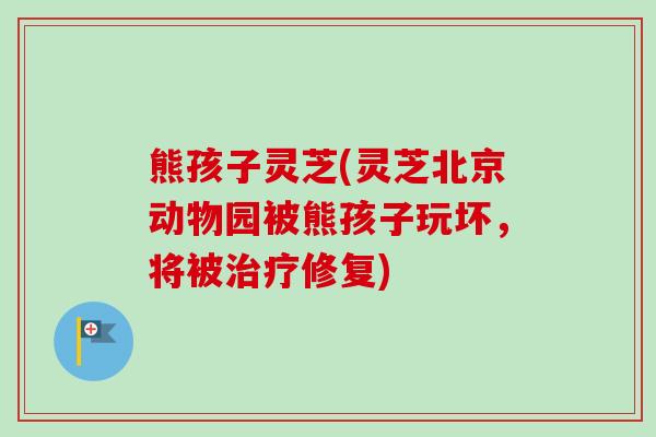 熊孩子灵芝(灵芝北京动物园被熊孩子玩坏,将被治疗修复)-第1张图片-卓越灵芝孢子粉 熊孩子灵芝(灵芝北京动物园被熊孩子玩坏,将被治疗修复)-第1张图片-卓越灵芝孢子粉