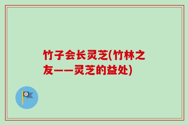 竹子会长灵芝(竹林之友——灵芝的益处)-第1张图片-卓越灵芝孢子粉 竹子会长灵芝(竹林之友——灵芝的益处)-第1张图片-卓越灵芝孢子粉