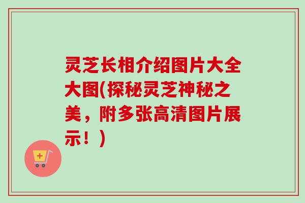 灵芝长相介绍图片大全大图(探秘灵芝神秘之美,附多张高清图片展示!)-第1张图片-卓越灵芝孢子粉 灵芝长相介绍图片大全大图(探秘灵芝神秘之美,附多张高清图片展示!)-第1张图片-卓越灵芝孢子粉