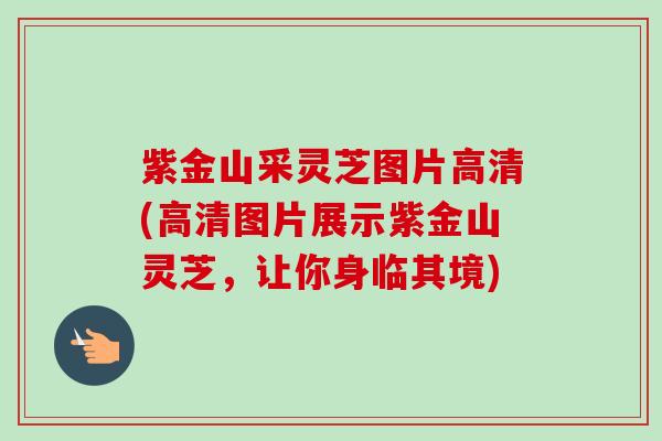紫金山采灵芝图片高清(高清图片展示紫金山灵芝，让你身临其境)-第1张图片-卓越灵芝孢子粉