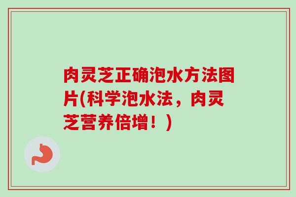 肉灵芝正确泡水方法图片(科学泡水法,肉灵芝营养倍增!)-第1张图片-卓越灵芝孢子粉 肉灵芝正确泡水方法图片(科学泡水法,肉灵芝营养倍增!)-第1张图片-卓越灵芝孢子粉