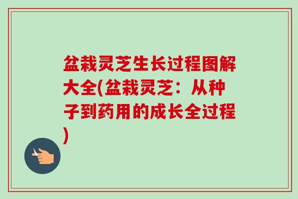 盆栽灵芝生长过程图解大全(盆栽灵芝:从种子到药用的成长全过程)-第1张图片-卓越灵芝孢子粉 盆栽灵芝生长过程图解大全(盆栽灵芝:从种子到药用的成长全过程)-第1张图片-卓越灵芝孢子粉