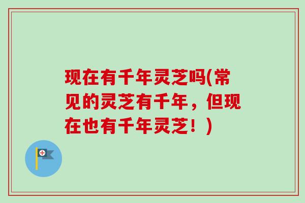 现在有千年灵芝吗(常见的灵芝有千年,但现在也有千年灵芝!)-第1张图片-卓越灵芝孢子粉 现在有千年灵芝吗(常见的灵芝有千年,但现在也有千年灵芝!)-第1张图片-卓越灵芝孢子粉