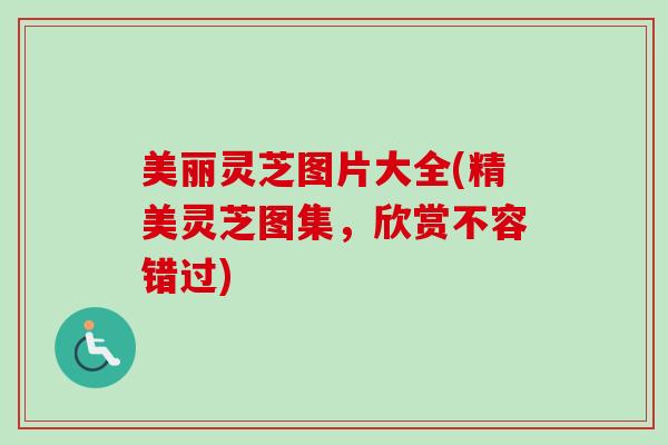 美丽灵芝图片大全(精美灵芝图集,欣赏不容错过)-第1张图片-卓越灵芝孢子粉 美丽灵芝图片大全(精美灵芝图集,欣赏不容错过)-第1张图片-卓越灵芝孢子粉