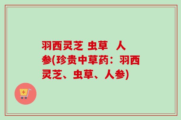 羽西灵芝 虫草 人参(珍贵中草药:羽西灵芝、虫草、人参)-第1张图片-卓越灵芝孢子粉 羽西灵芝 虫草 人参(珍贵中草药:羽西灵芝、虫草、人参)-第1张图片-卓越灵芝孢子粉