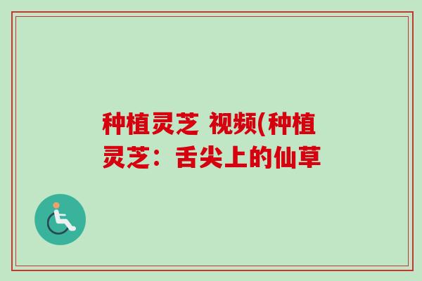 种植灵芝 视频(种植灵芝:舌尖上的仙草-第1张图片-卓越灵芝孢子粉 种植灵芝 视频(种植灵芝:舌尖上的仙草-第1张图片-卓越灵芝孢子粉