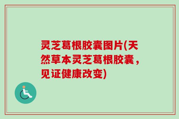 灵芝葛根胶囊图片(天然草本灵芝葛根胶囊,见证健康改变)-第1张图片-卓越灵芝孢子粉 灵芝葛根胶囊图片(天然草本灵芝葛根胶囊,见证健康改变)-第1张图片-卓越灵芝孢子粉