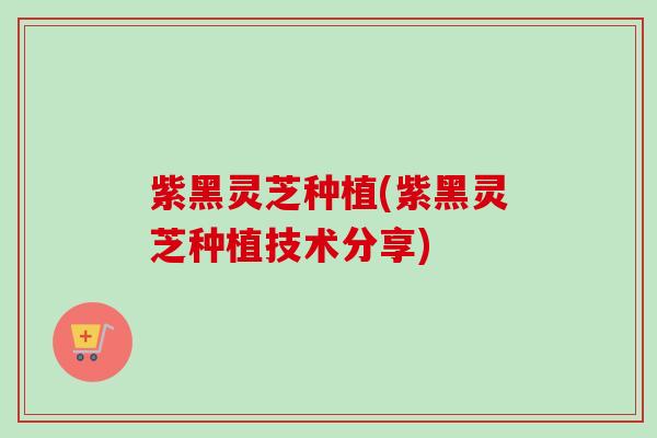 紫黑灵芝种植(紫黑灵芝种植技术分享)-第1张图片-卓越灵芝孢子粉 紫黑灵芝种植(紫黑灵芝种植技术分享)-第1张图片-卓越灵芝孢子粉