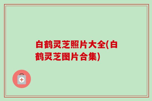 白鹤灵芝照片大全(白鹤灵芝图片合集)-第1张图片-卓越灵芝孢子粉 白鹤灵芝照片大全(白鹤灵芝图片合集)-第1张图片-卓越灵芝孢子粉