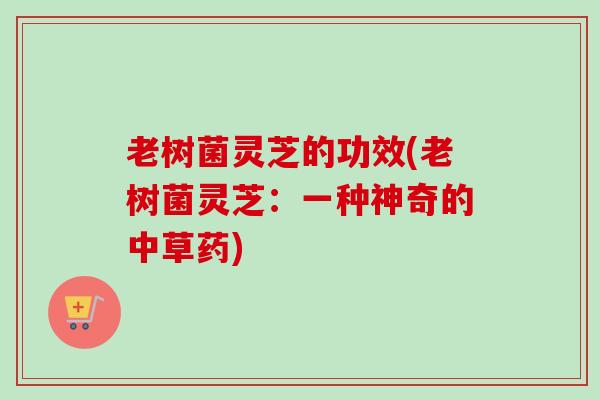 老树菌灵芝的功效(老树菌灵芝:一种神奇的中草药)-第1张图片-卓越灵芝孢子粉 老树菌灵芝的功效(老树菌灵芝:一种神奇的中草药)-第1张图片-卓越灵芝孢子粉