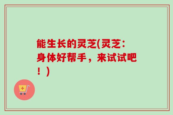 能生长的灵芝(灵芝：身体好帮手，来试试吧！)-第1张图片-卓越灵芝孢子粉