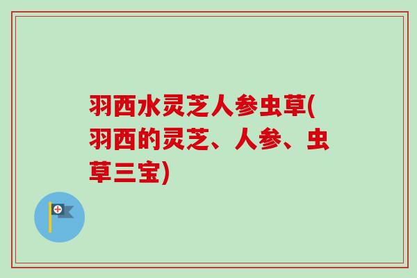 羽西水灵芝人参虫草(羽西的灵芝、人参、虫草三宝)-第1张图片-卓越灵芝孢子粉 羽西水灵芝人参虫草(羽西的灵芝、人参、虫草三宝)-第1张图片-卓越灵芝孢子粉