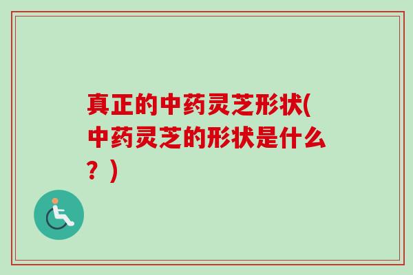 真正的中药灵芝形状(中药灵芝的形状是什么?)-第1张图片-卓越灵芝孢子粉 真正的中药灵芝形状(中药灵芝的形状是什么?)-第1张图片-卓越灵芝孢子粉