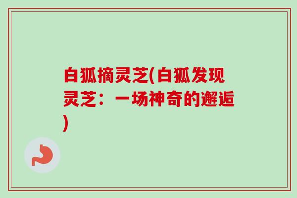 白狐摘灵芝(白狐发现灵芝：一场神奇的邂逅)-第1张图片-卓越灵芝孢子粉