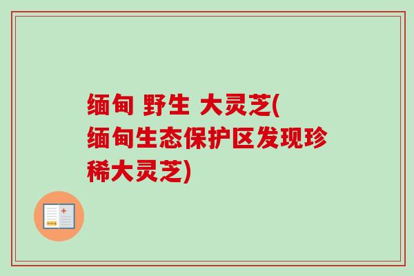 缅甸 野生 大灵芝(缅甸生态保护区发现珍稀大灵芝)-第1张图片-卓越灵芝孢子粉 缅甸 野生 大灵芝(缅甸生态保护区发现珍稀大灵芝)-第1张图片-卓越灵芝孢子粉