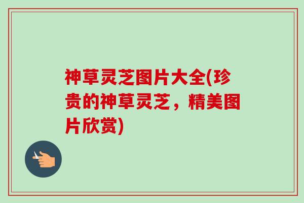 神草灵芝图片大全(珍贵的神草灵芝,精美图片欣赏)-第1张图片-卓越灵芝孢子粉 神草灵芝图片大全(珍贵的神草灵芝,精美图片欣赏)-第1张图片-卓越灵芝孢子粉