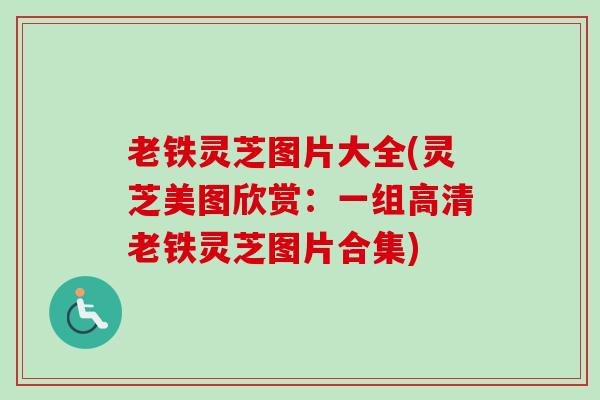 老铁灵芝图片大全(灵芝美图欣赏：一组高清老铁灵芝图片合集)-第1张图片-卓越灵芝孢子粉