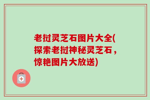 老挝灵芝石图片大全(探索老挝神秘灵芝石,惊艳图片大放送)-第1张图片-卓越灵芝孢子粉 老挝灵芝石图片大全(探索老挝神秘灵芝石,惊艳图片大放送)-第1张图片-卓越灵芝孢子粉