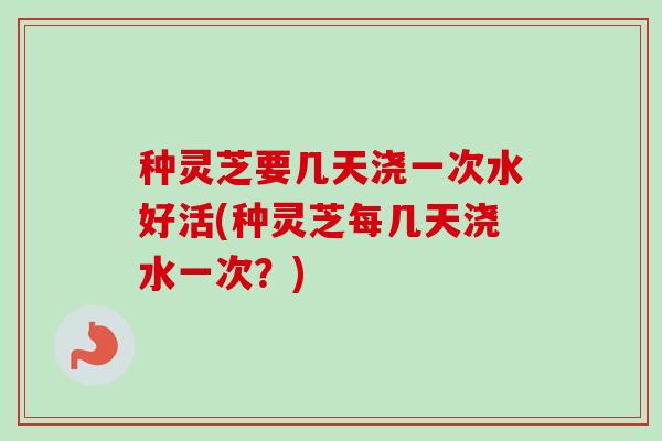 种灵芝要几天浇一次水好活(种灵芝每几天浇水一次？)-第1张图片-卓越灵芝孢子粉
