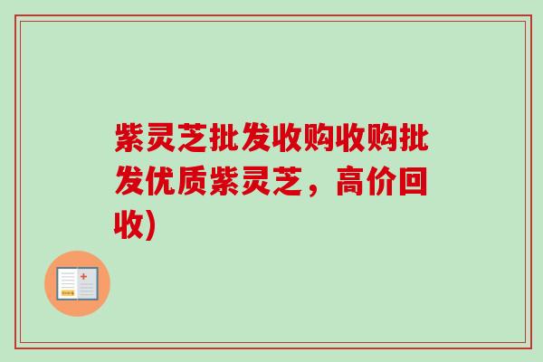 紫灵芝批发收购收购批发优质紫灵芝,高价回收)-第1张图片-卓越灵芝孢子粉 紫灵芝批发收购收购批发优质紫灵芝,高价回收)-第1张图片-卓越灵芝孢子粉