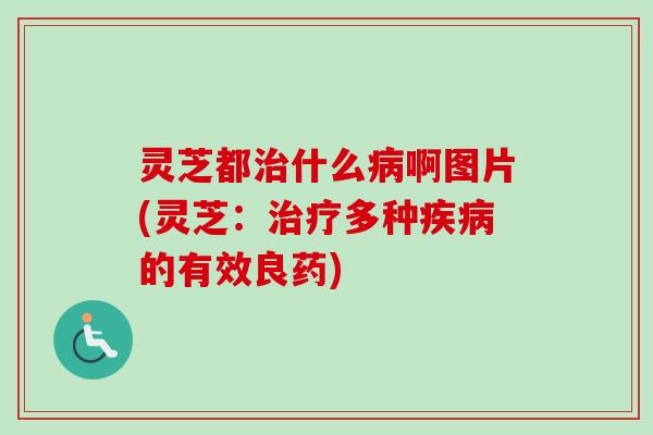 灵芝都治什么病啊图片(灵芝：治疗多种疾病的有效良药)-第1张图片-卓越灵芝孢子粉