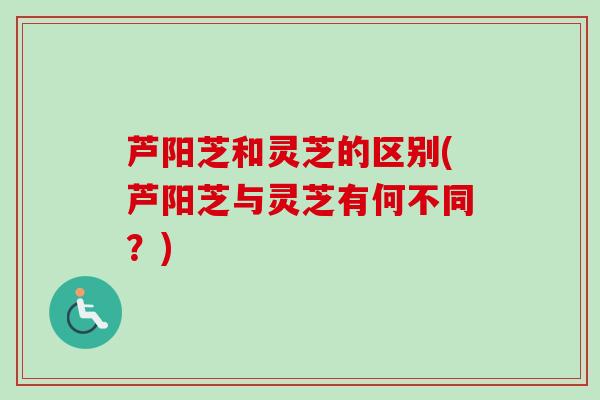 芦阳芝和灵芝的区别(芦阳芝与灵芝有何不同?)-第1张图片-卓越灵芝孢子粉 芦阳芝和灵芝的区别(芦阳芝与灵芝有何不同?)-第1张图片-卓越灵芝孢子粉