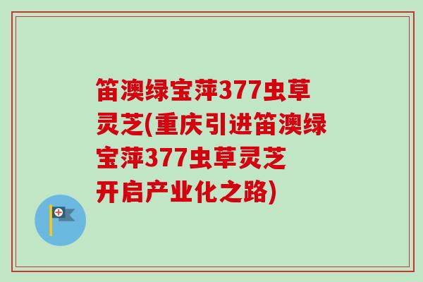 笛澳绿宝萍377虫草灵芝(重庆引进笛澳绿宝萍377虫草灵芝 开启产业化之路)-第1张图片-卓越灵芝孢子粉 笛澳绿宝萍377虫草灵芝(重庆引进笛澳绿宝萍377虫草灵芝 开启产业化之路)-第1张图片-卓越灵芝孢子粉
