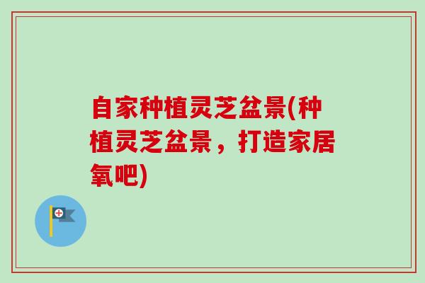 自家种植灵芝盆景(种植灵芝盆景,打造家居氧吧)-第1张图片-卓越灵芝孢子粉 自家种植灵芝盆景(种植灵芝盆景,打造家居氧吧)-第1张图片-卓越灵芝孢子粉