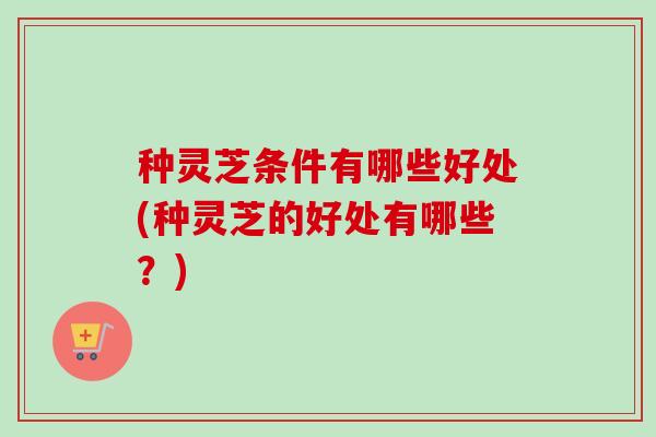 种灵芝条件有哪些好处(种灵芝的好处有哪些?)-第1张图片-卓越灵芝孢子粉 种灵芝条件有哪些好处(种灵芝的好处有哪些?)-第1张图片-卓越灵芝孢子粉