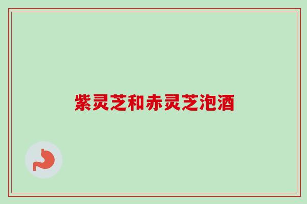 紫灵芝和赤灵芝泡酒-第1张图片-卓越灵芝孢子粉