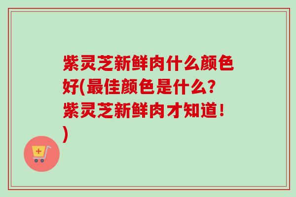 紫灵芝新鲜肉什么颜色好(最佳颜色是什么？紫灵芝新鲜肉才知道！)-第1张图片-卓越灵芝孢子粉
