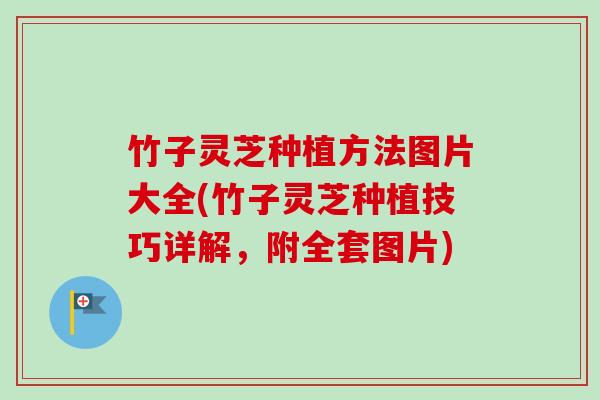 竹子灵芝种植方法图片大全(竹子灵芝种植技巧详解,附全套图片)-第1张图片-卓越灵芝孢子粉 竹子灵芝种植方法图片大全(竹子灵芝种植技巧详解,附全套图片)-第1张图片-卓越灵芝孢子粉