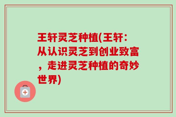 王轩灵芝种植(王轩:从认识灵芝到创业致富,走进灵芝种植的奇妙世界)-第1张图片-卓越灵芝孢子粉 王轩灵芝种植(王轩:从认识灵芝到创业致富,走进灵芝种植的奇妙世界)-第1张图片-卓越灵芝孢子粉