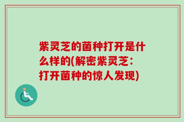 紫灵芝的菌种打开是什么样的(解密紫灵芝：打开菌种的惊人发现)-第1张图片-卓越灵芝孢子粉