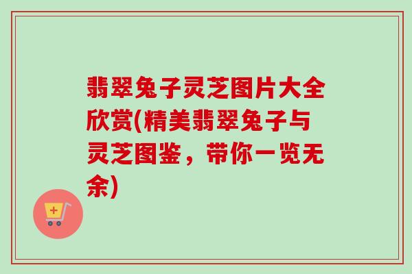 翡翠兔子灵芝图片大全欣赏(精美翡翠兔子与灵芝图鉴，带你一览无余)-第1张图片-卓越灵芝孢子粉