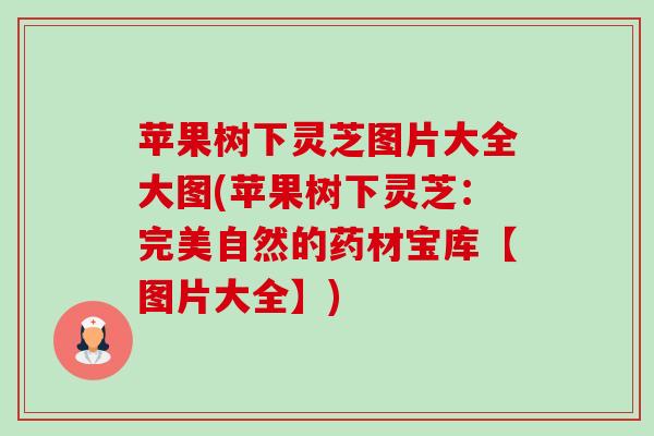 苹果树下灵芝图片大全大图(苹果树下灵芝：完美自然的药材宝库【图片大全】)-第1张图片-卓越灵芝孢子粉