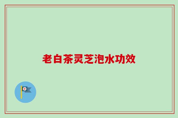 老白茶灵芝泡水功效-第1张图片-卓越灵芝孢子粉
