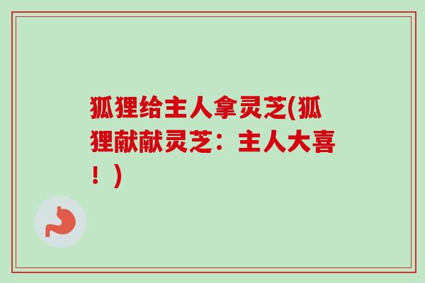 狐狸给主人拿灵芝(狐狸献献灵芝:主人大喜!)-第1张图片-卓越灵芝孢子粉 狐狸给主人拿灵芝(狐狸献献灵芝:主人大喜!)-第1张图片-卓越灵芝孢子粉
