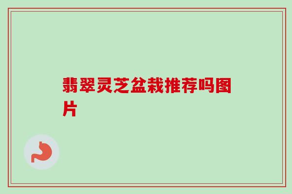 翡翠灵芝盆栽推荐吗图片-第1张图片-卓越灵芝孢子粉 翡翠灵芝盆栽推荐吗图片-第1张图片-卓越灵芝孢子粉