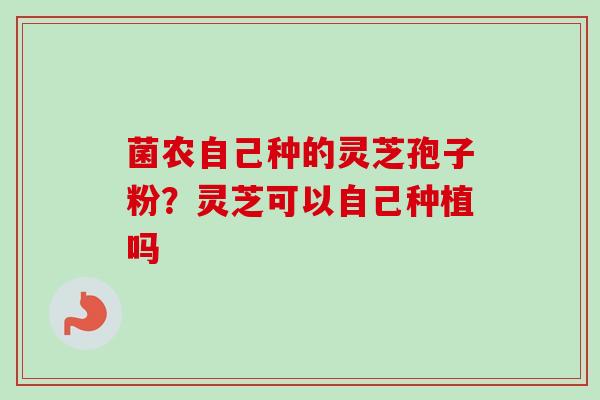 菌农自己种的灵芝孢子粉?灵芝可以自己种植吗-第1张图片-卓越灵芝孢子粉 菌农自己种的灵芝孢子粉?灵芝可以自己种植吗-第1张图片-卓越灵芝孢子粉