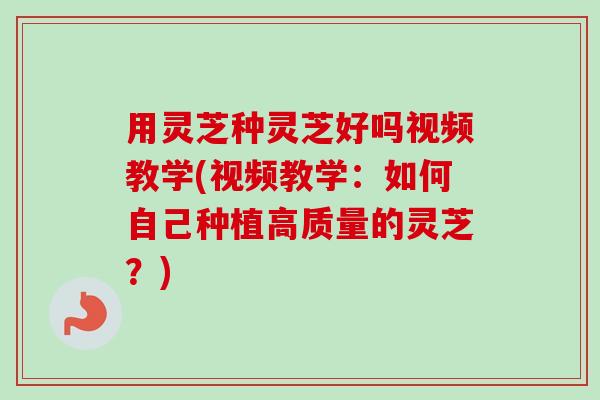用灵芝种灵芝好吗视频教学(视频教学:如何自己种植高质量的灵芝?)-第1张图片-卓越灵芝孢子粉 用灵芝种灵芝好吗视频教学(视频教学:如何自己种植高质量的灵芝?)-第1张图片-卓越灵芝孢子粉
