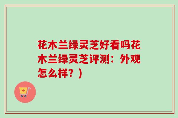 花木兰绿灵芝好看吗花木兰绿灵芝评测:外观怎么样?)-第1张图片-卓越灵芝孢子粉 花木兰绿灵芝好看吗花木兰绿灵芝评测:外观怎么样?)-第1张图片-卓越灵芝孢子粉