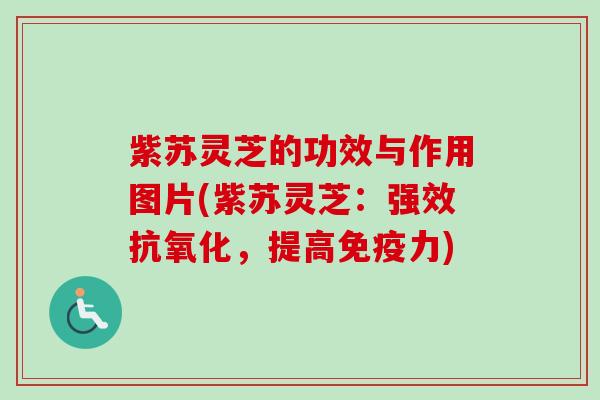 紫苏灵芝的功效与作用图片(紫苏灵芝:强效抗氧化,提高免疫力)-第1张图片-卓越灵芝孢子粉 紫苏灵芝的功效与作用图片(紫苏灵芝:强效抗氧化,提高免疫力)-第1张图片-卓越灵芝孢子粉