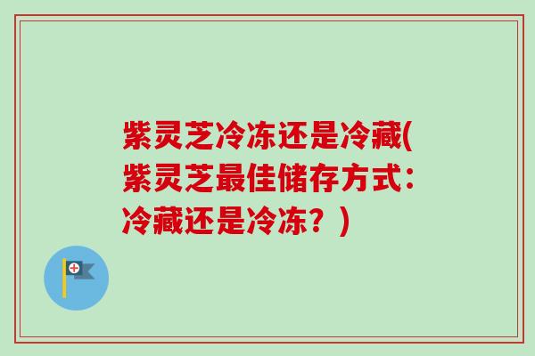 紫灵芝冷冻还是冷藏(紫灵芝最佳储存方式:冷藏还是冷冻?)-第1张图片-卓越灵芝孢子粉 紫灵芝冷冻还是冷藏(紫灵芝最佳储存方式:冷藏还是冷冻?)-第1张图片-卓越灵芝孢子粉
